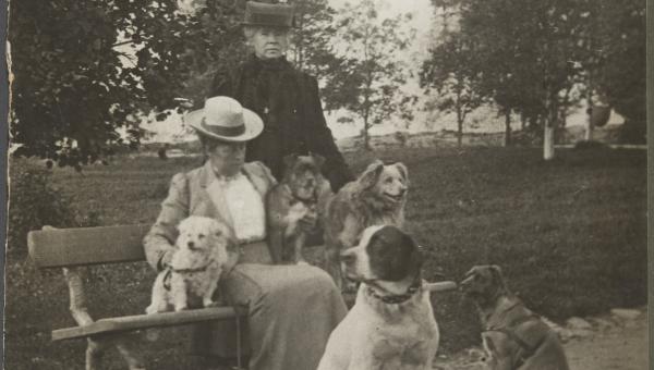 Siri Brander (istuu) ja Constance Ullner sekä koiria