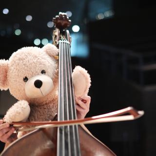 Nalle soittaa bassoa