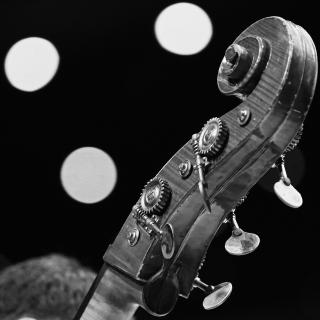 Credit Jaakko Paarvala