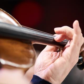 Viulu ja käsi