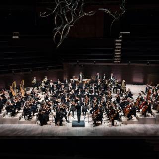 Helsingin kaupunginorkesteri