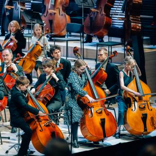 Pieni alkusoitto kontrabasso