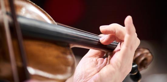 Viulu c Jaakko Paarvala