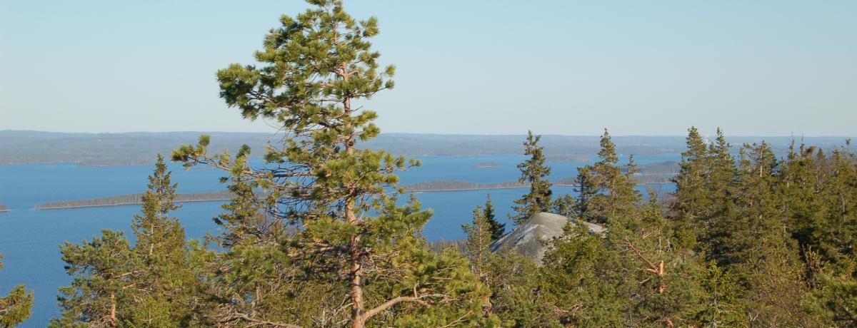 Korvan kunto-ohjelma